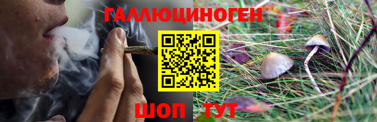 Галлюциногенные грибы мицелий Братск